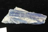 Vibrant Blue Kyanite Crystal Cluster - Brazil #95580-1